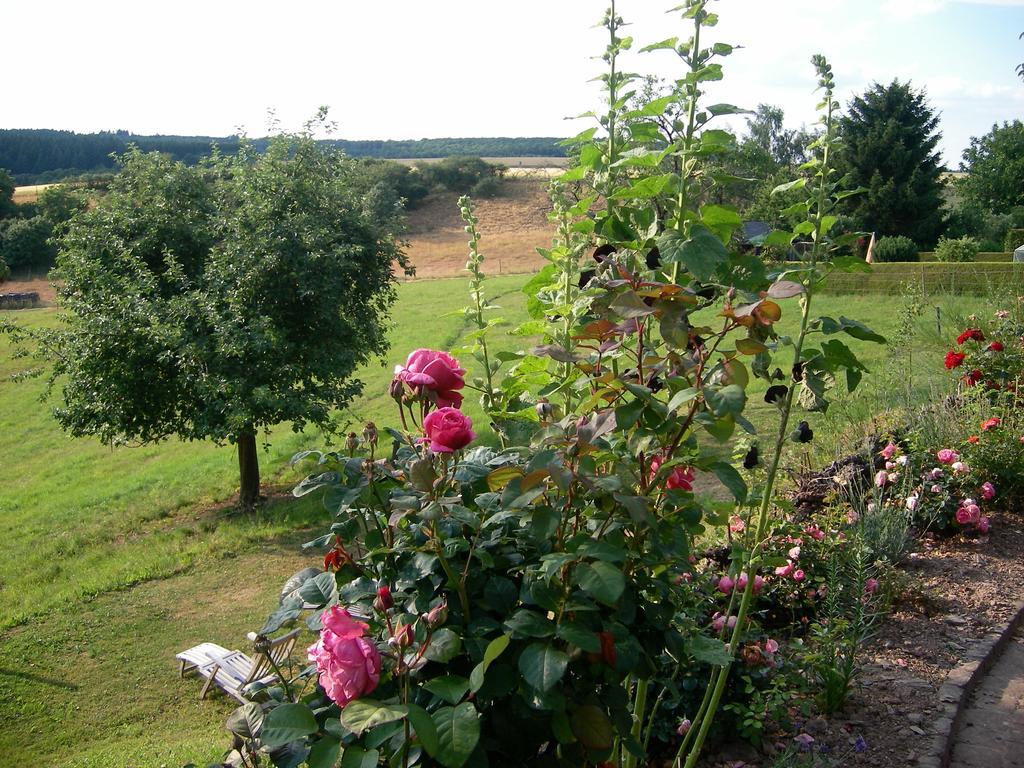 Landhaus Bad Bertrich Exteriör bild