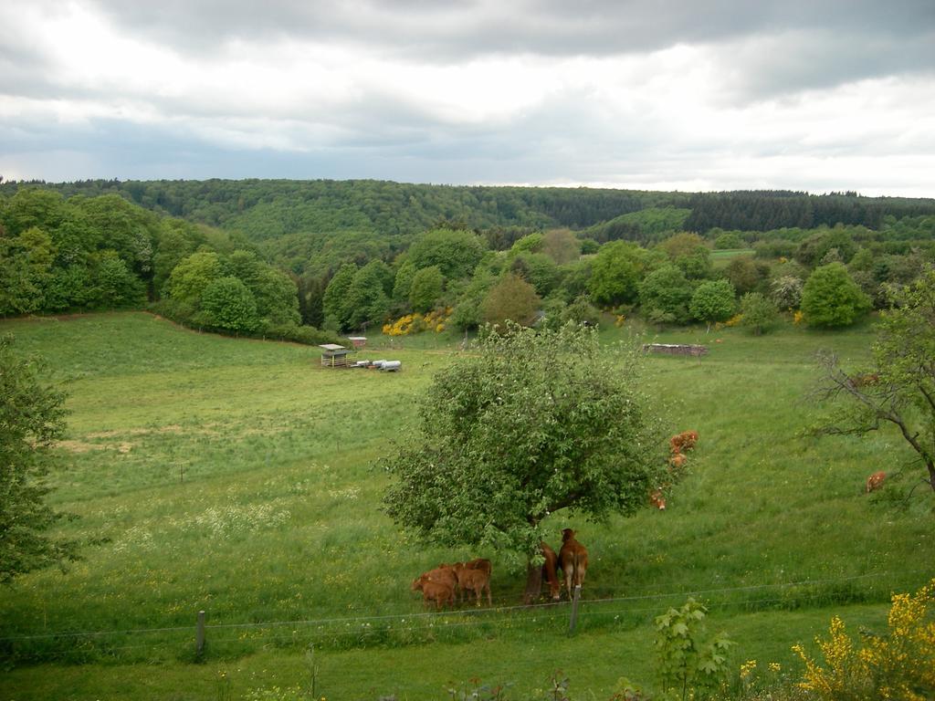 Landhaus Bad Bertrich Exteriör bild