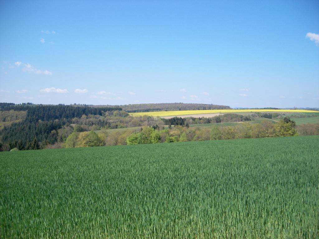 Landhaus Bad Bertrich Exteriör bild