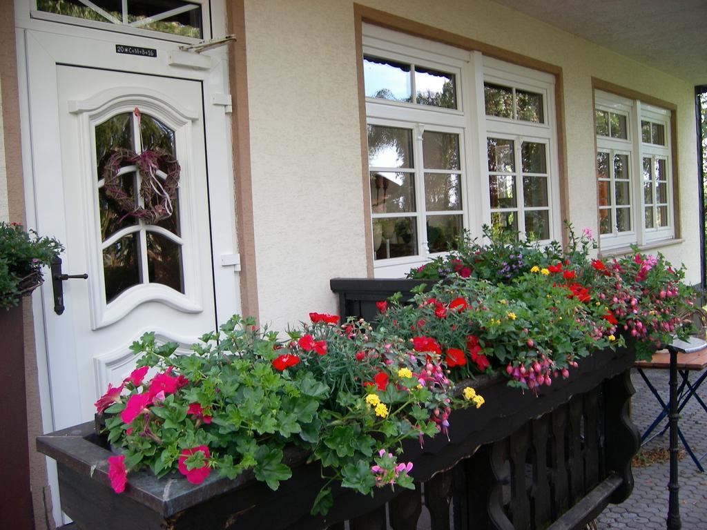 Landhaus Bad Bertrich Exteriör bild