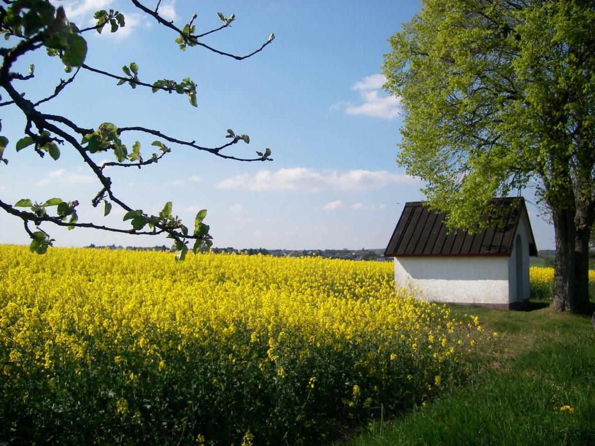 Landhaus Bad Bertrich Exteriör bild