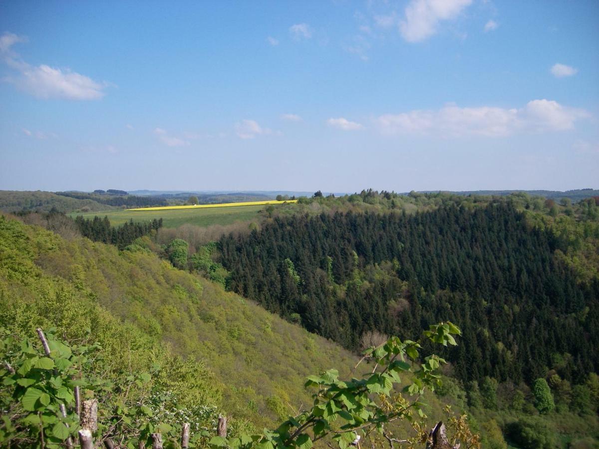 Landhaus Bad Bertrich Exteriör bild
